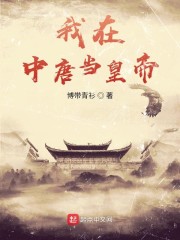 我在唐朝当王爷 小说
