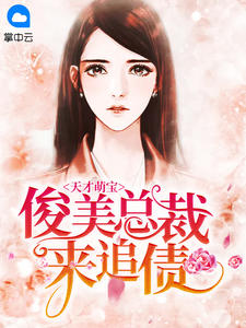 洛熙霍靖寒小说