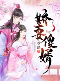 娇妻傻婿()