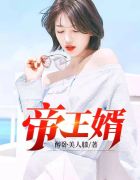 帝帅王婿叶凡