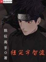 狂笑宇智波TXT下载百度云