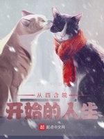 小说从四合院开始的人生
