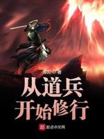 道兵体系的小说
