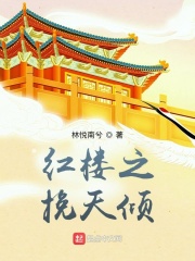 红楼之倾世缘免费阅读