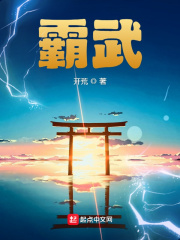 霸武无弹窗