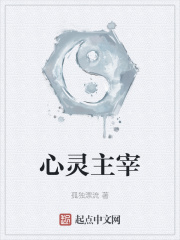 心灵主宰TXT下载奇书网