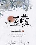 小豆蔻小说免费阅读全文下载