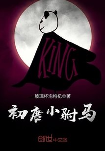穿越唐朝驸马的小说