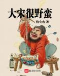 大宋野蛮人