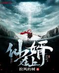 仙帝上门赘婿