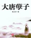 大唐孽子怎么样