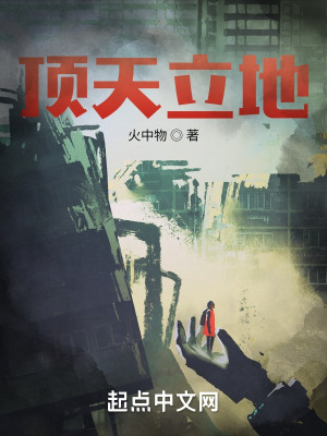 顶天立地小说全文免费阅读无弹窗