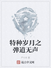 小说特种岁月庄严