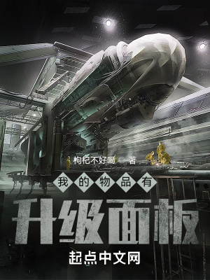 我的物品有升级面板biquge