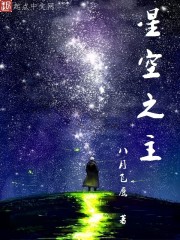 星空之主小说免费阅读全文