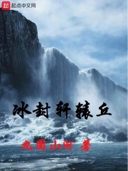 女主叫轩辕冰凌的小说