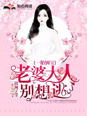 一胎俩宝老婆大人别想逃无弹窗