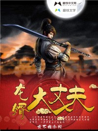 龙婿大丈夫完本xtx