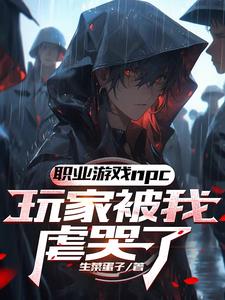 玩家npc什么意思