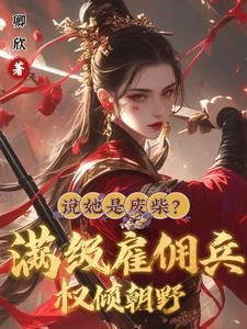 雇佣兵王系列小说