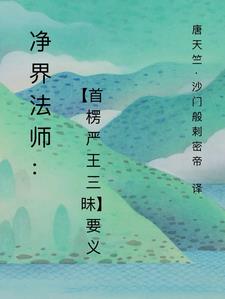 净界法师讲楞严经视频全集