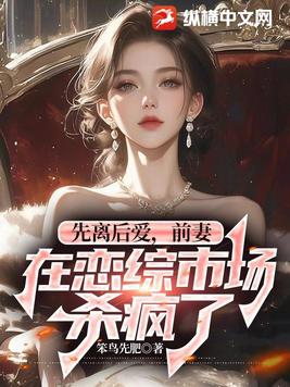 前妻离婚小说