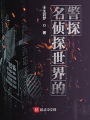 名侦探世界的警探百度百科