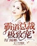 名门暖爱霸道总裁极致宠