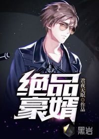 小说绝品狂婿