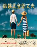 韩娱全职丈夫小说