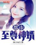 都市至尊神医小说