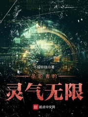 圣职者的灵气无限小说全本