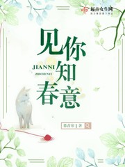 见你起意沈知南 小说