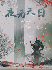 小说夜无殇
