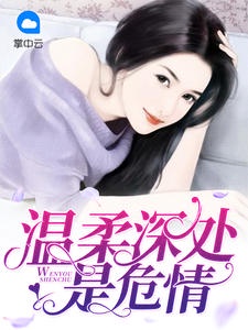 温柔深处是危情 小说