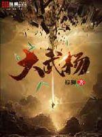 小说武杨